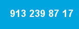 913 239 87 17 913 239 87 17